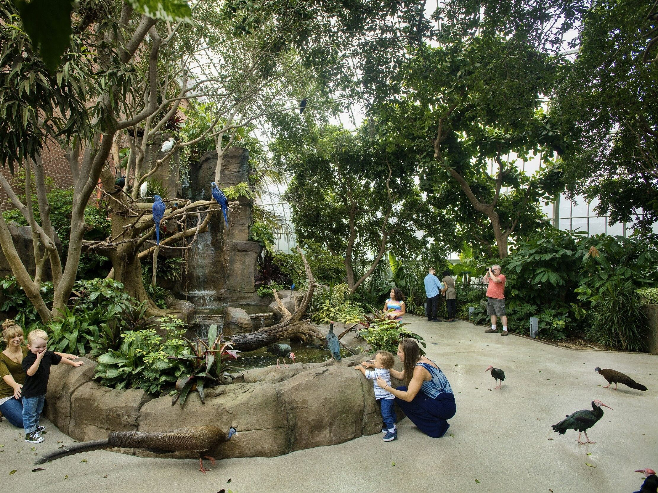 Picture of National Aviary