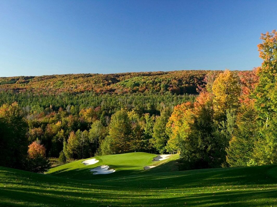 Picture of Treetops Resort