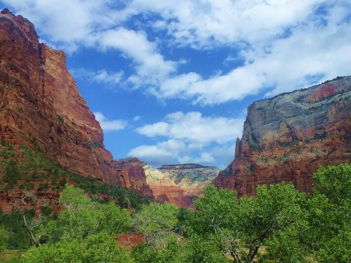 Picture of Zion National Park