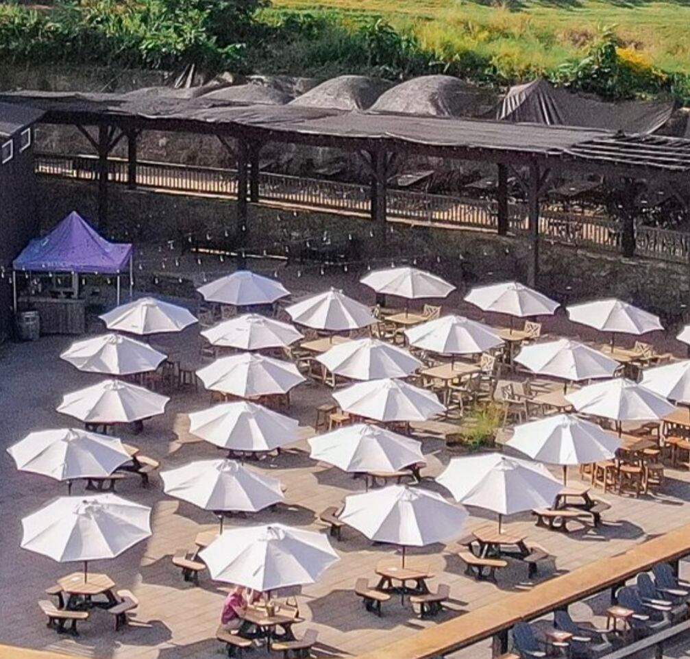 Picture of Bluemont Winery & Vineyard