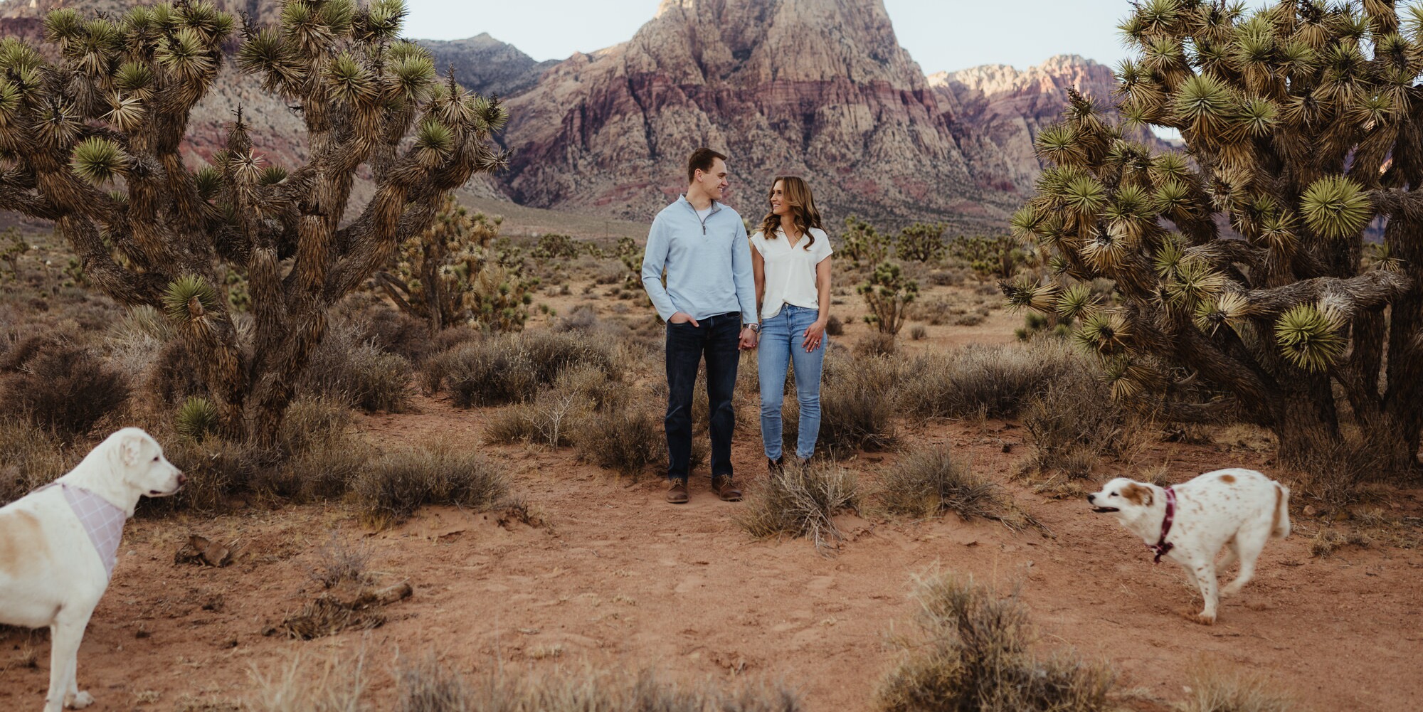 Rachel & Peter Home Page Banner