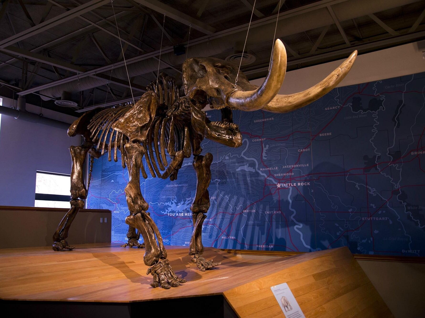 Picture of Mid-America Science Museum