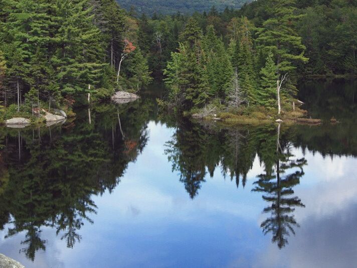 Picture of Green Mountain National Forest