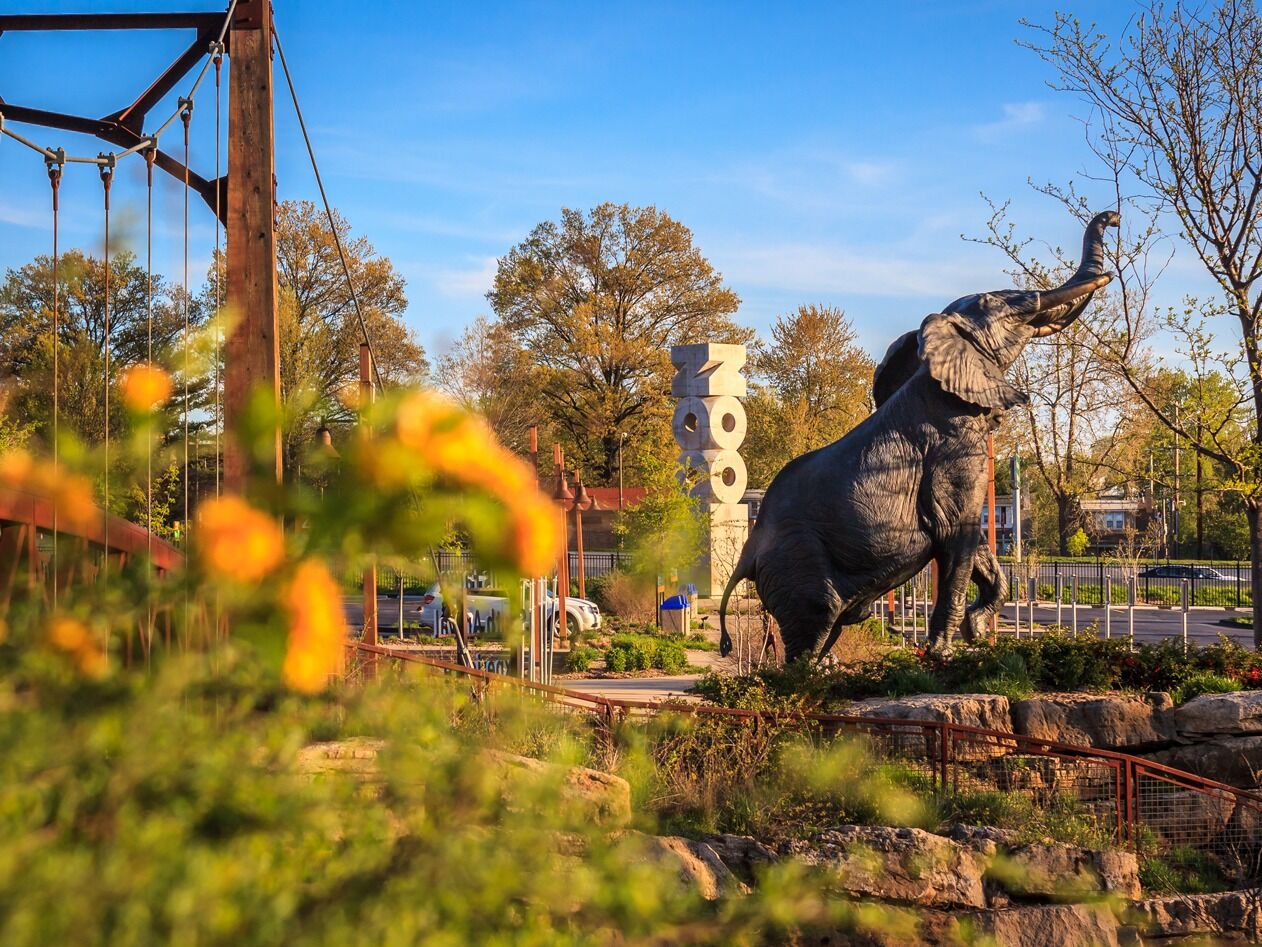 Picture of Saint Louis Zoo