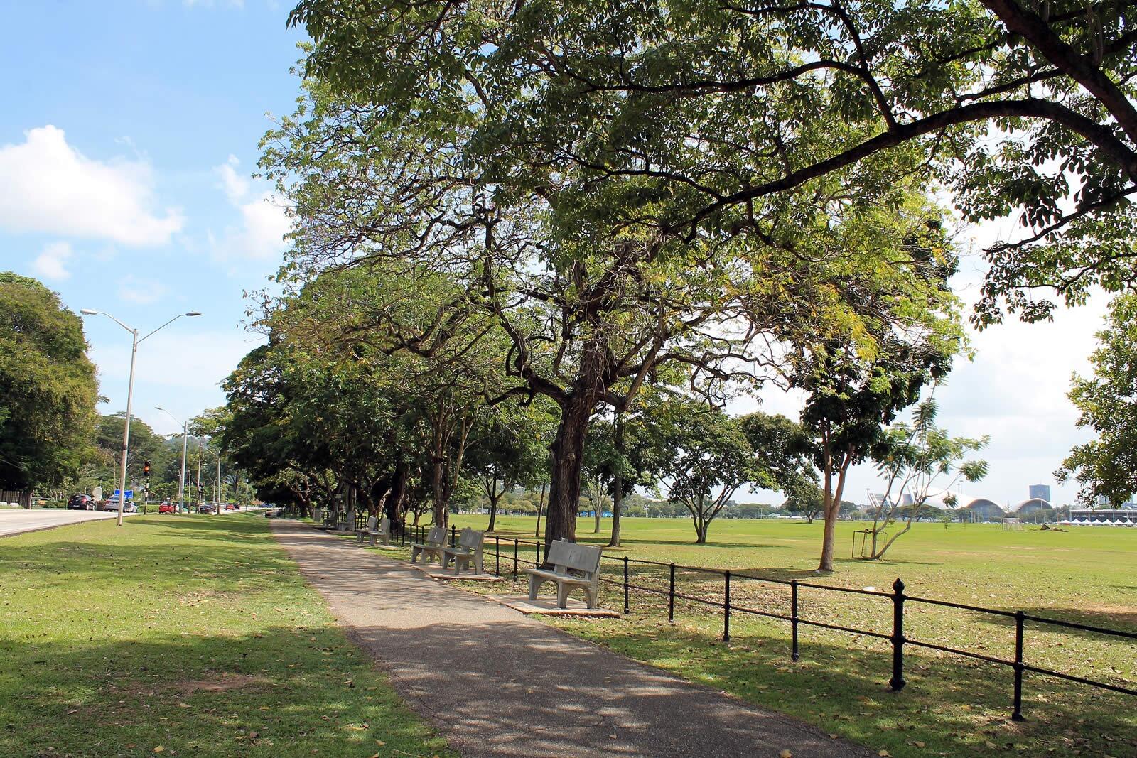 Picture of Queen's Park Savannah