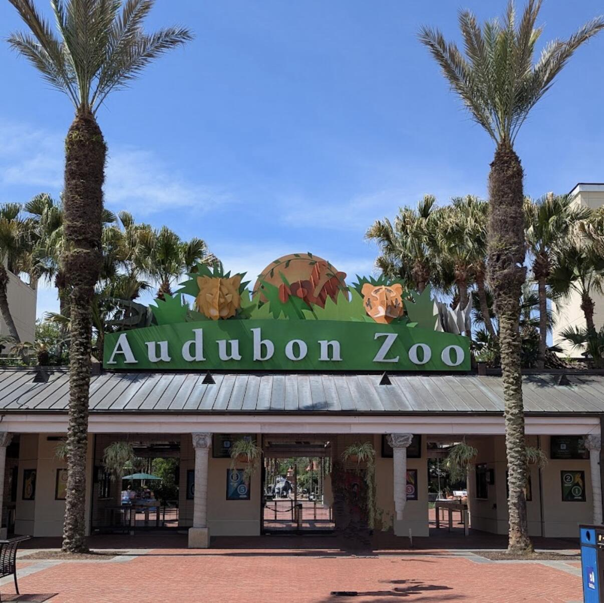 Picture of Visit the Audubon Zoo!