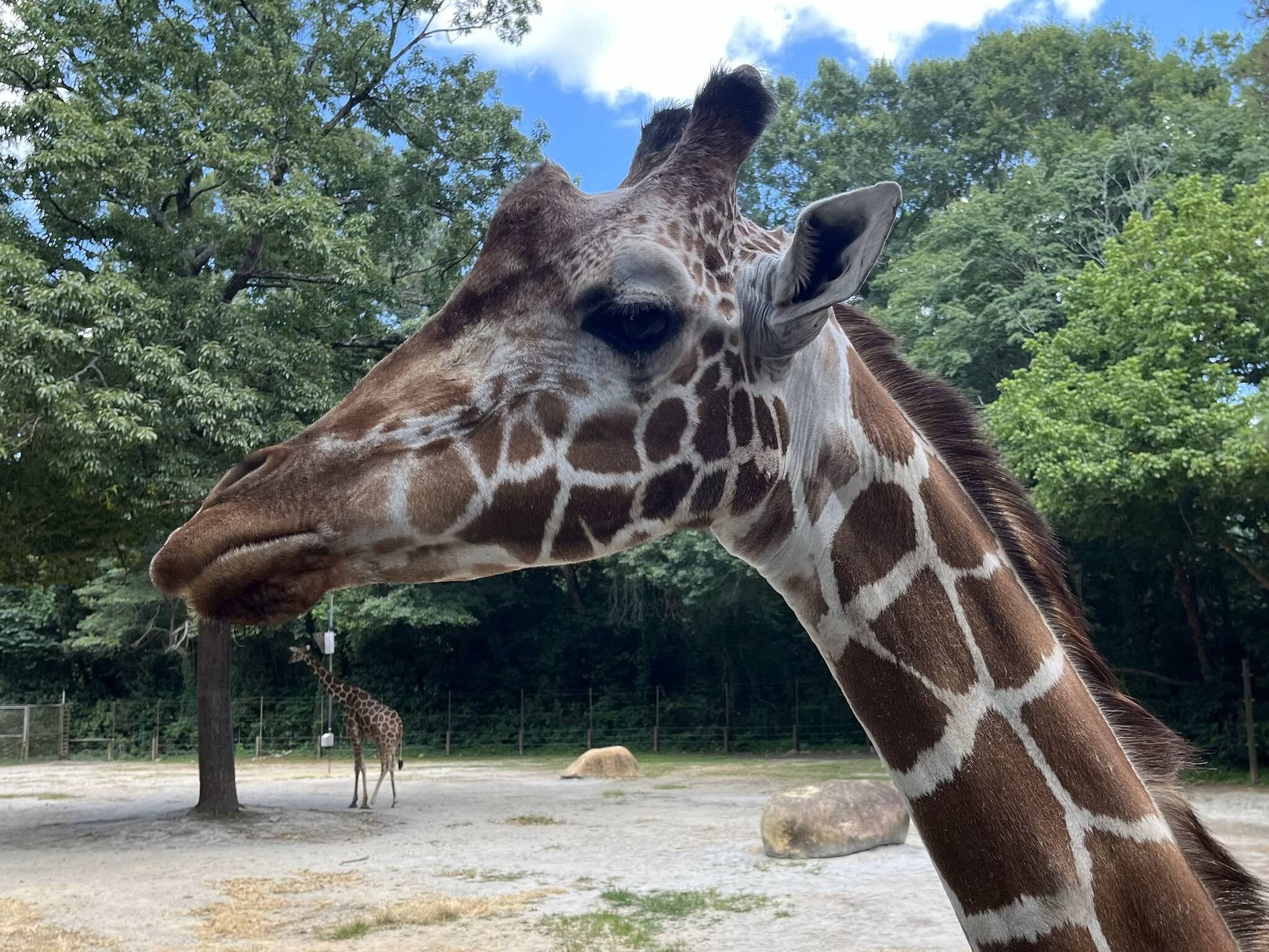 Picture of Riverbanks Zoo & Garden