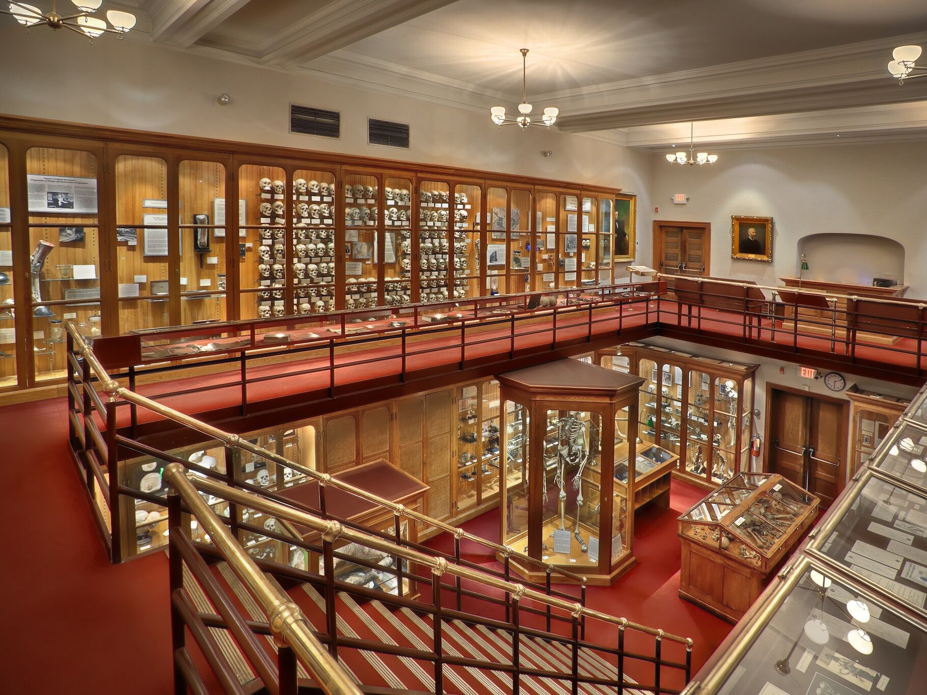 Picture of The Mütter Museum at The College of Physicians of Philadelphia