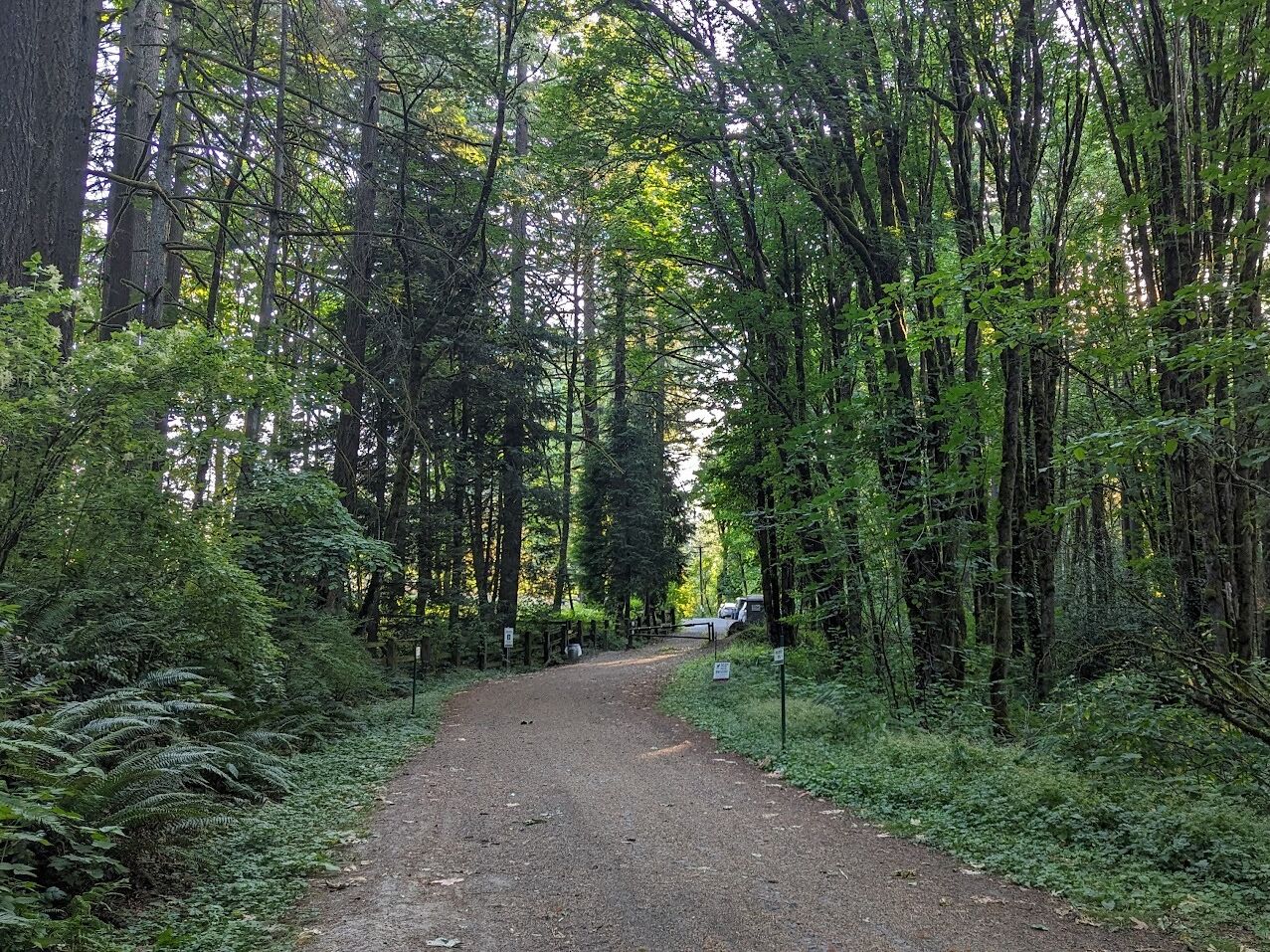 Picture of Forest Park