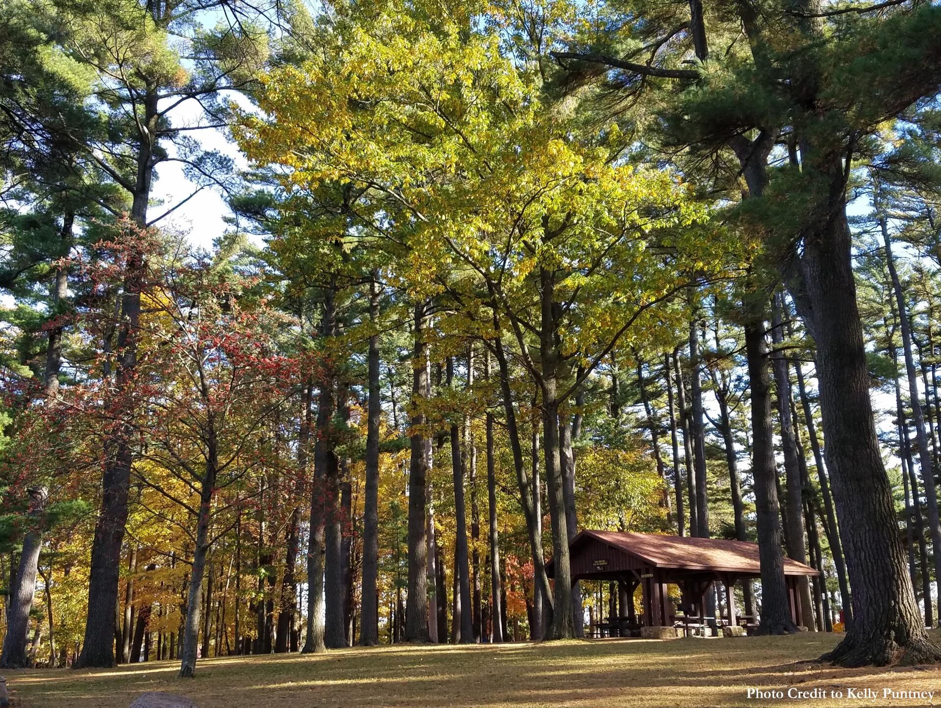 Picture of Marathon Park