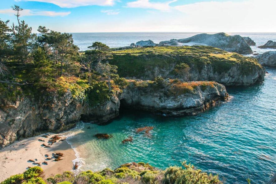 Picture of Point Lobos State Natural Reserve