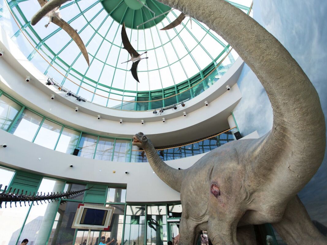 Picture of North Carolina Museum of Natural Sciences