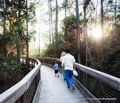 Picture of Alys Beach Nature Trail, Panama City Beach, FL, USA