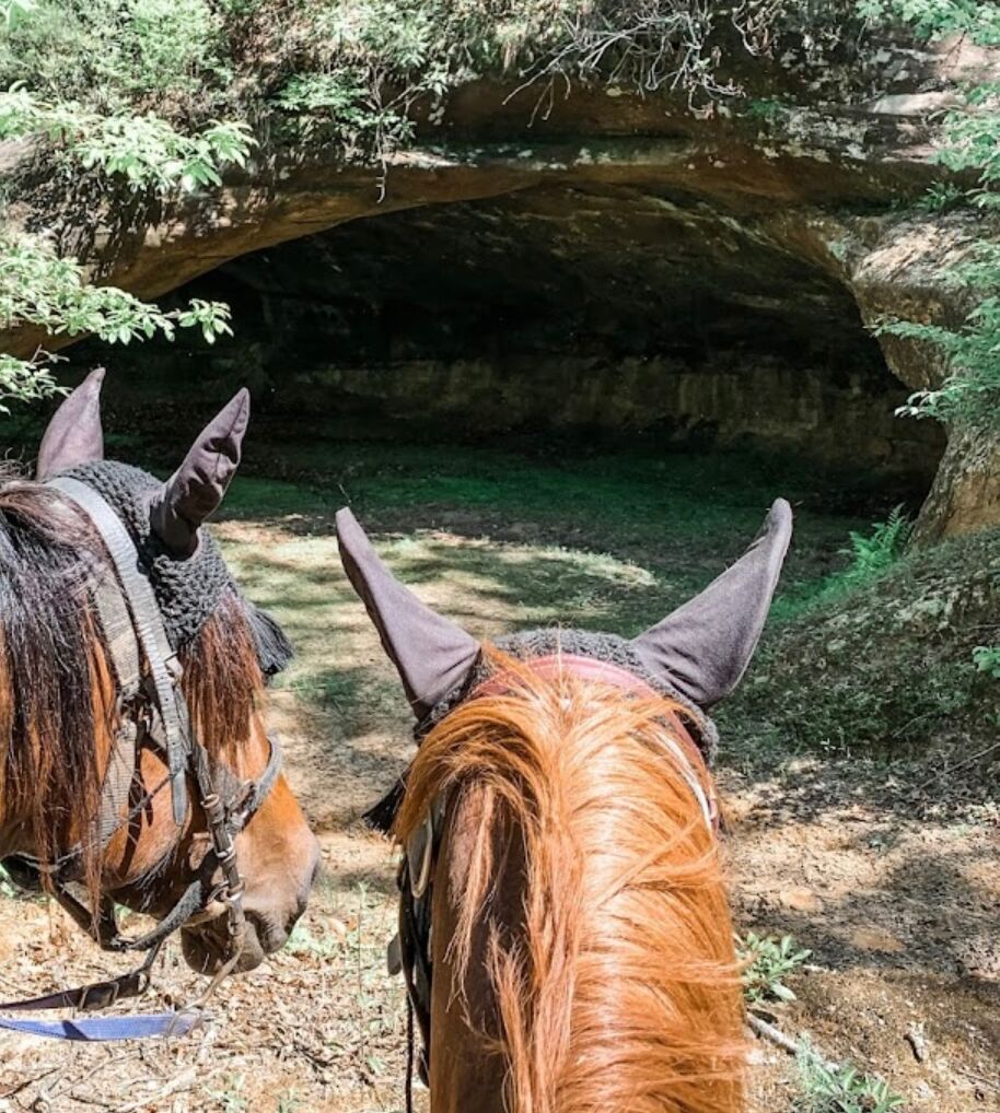 Picture of Whisper Valley Trails