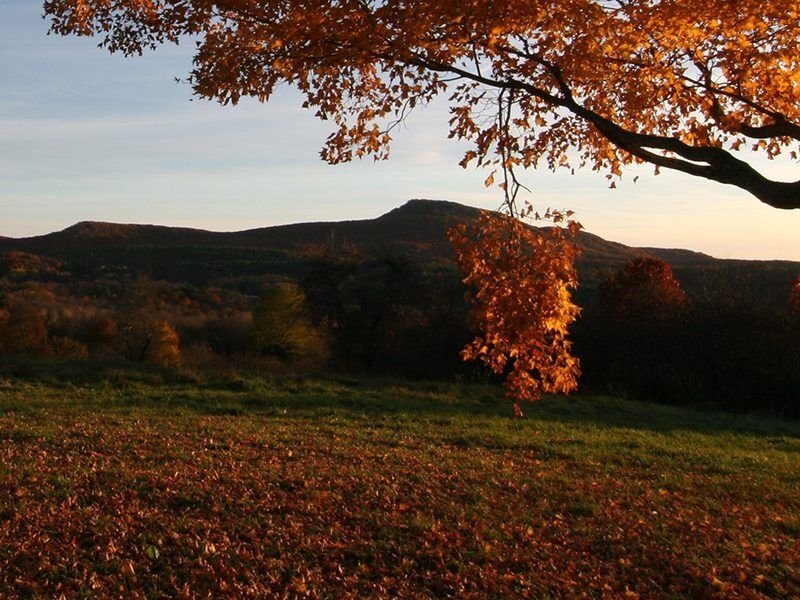 Picture of Mount Holyoke Range State Park