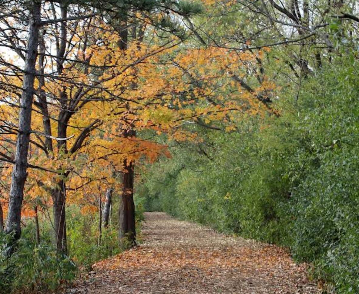 Picture of Lake Katherine Nature Center