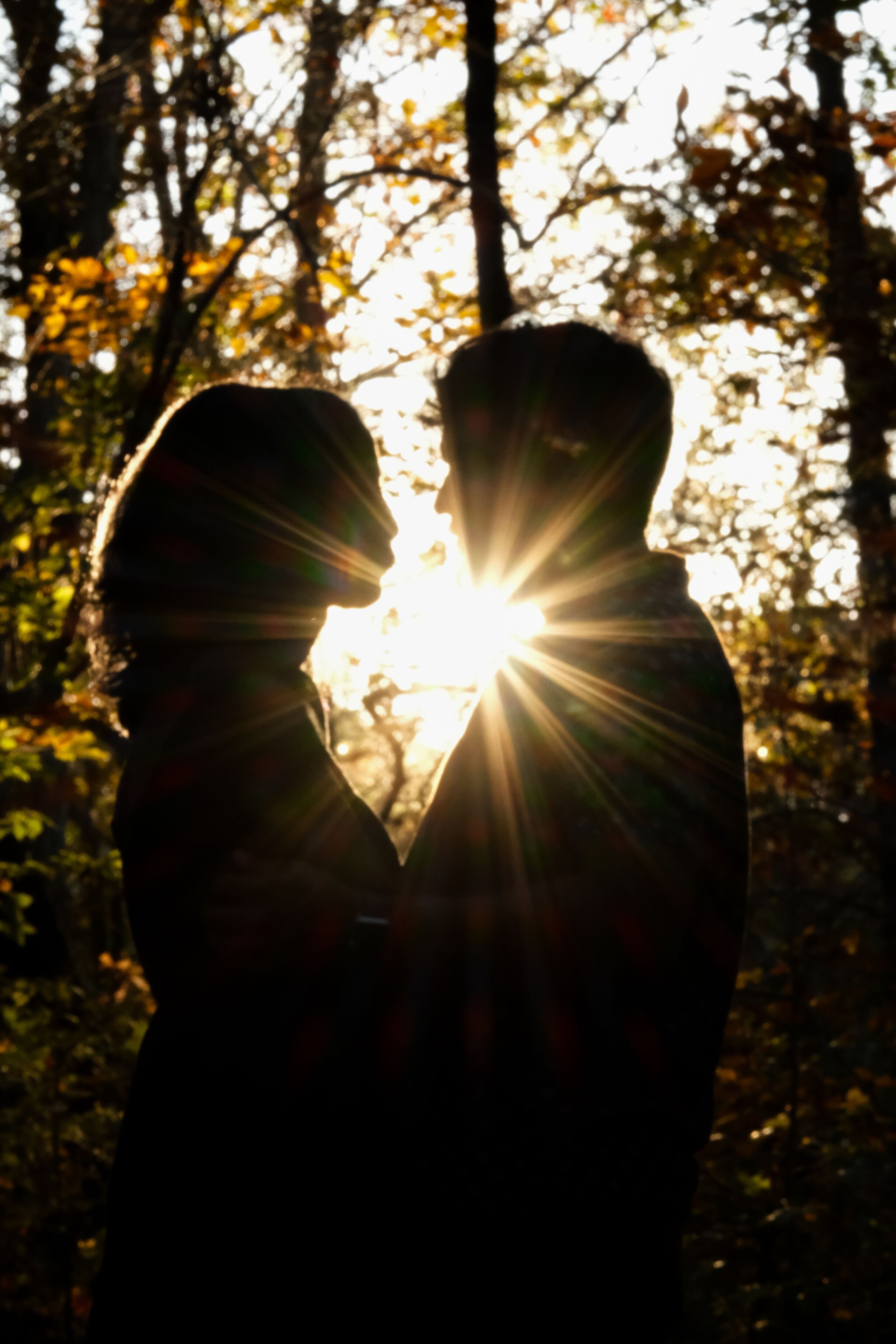 Haley & Jared Home Page Banner