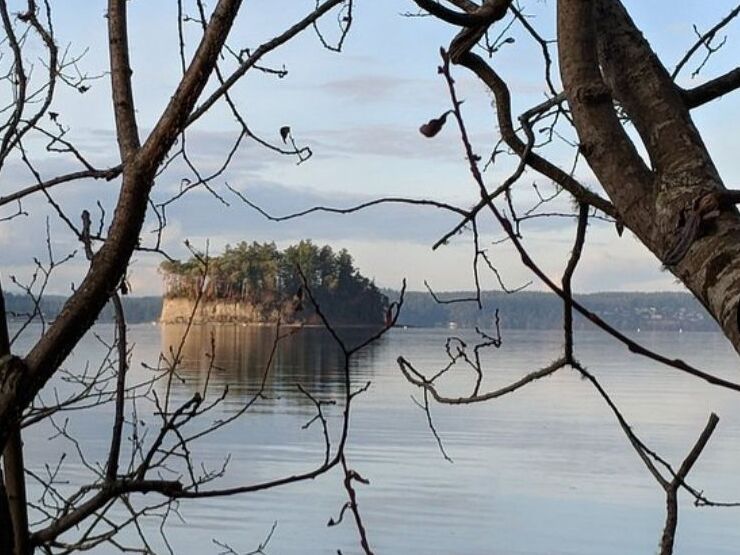 Picture of Kopachuck State Park