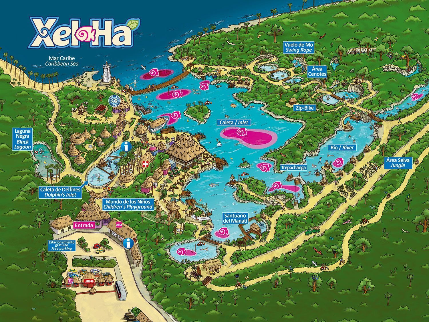 Picture of Xcarte Parks (many to choose)