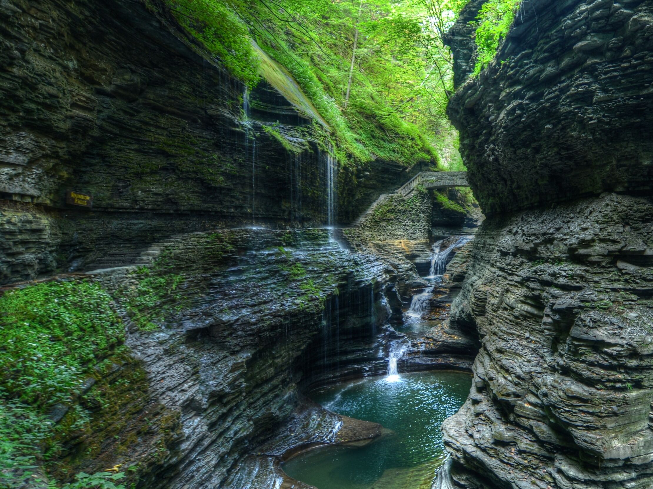 Picture of Watkins Glen State Park