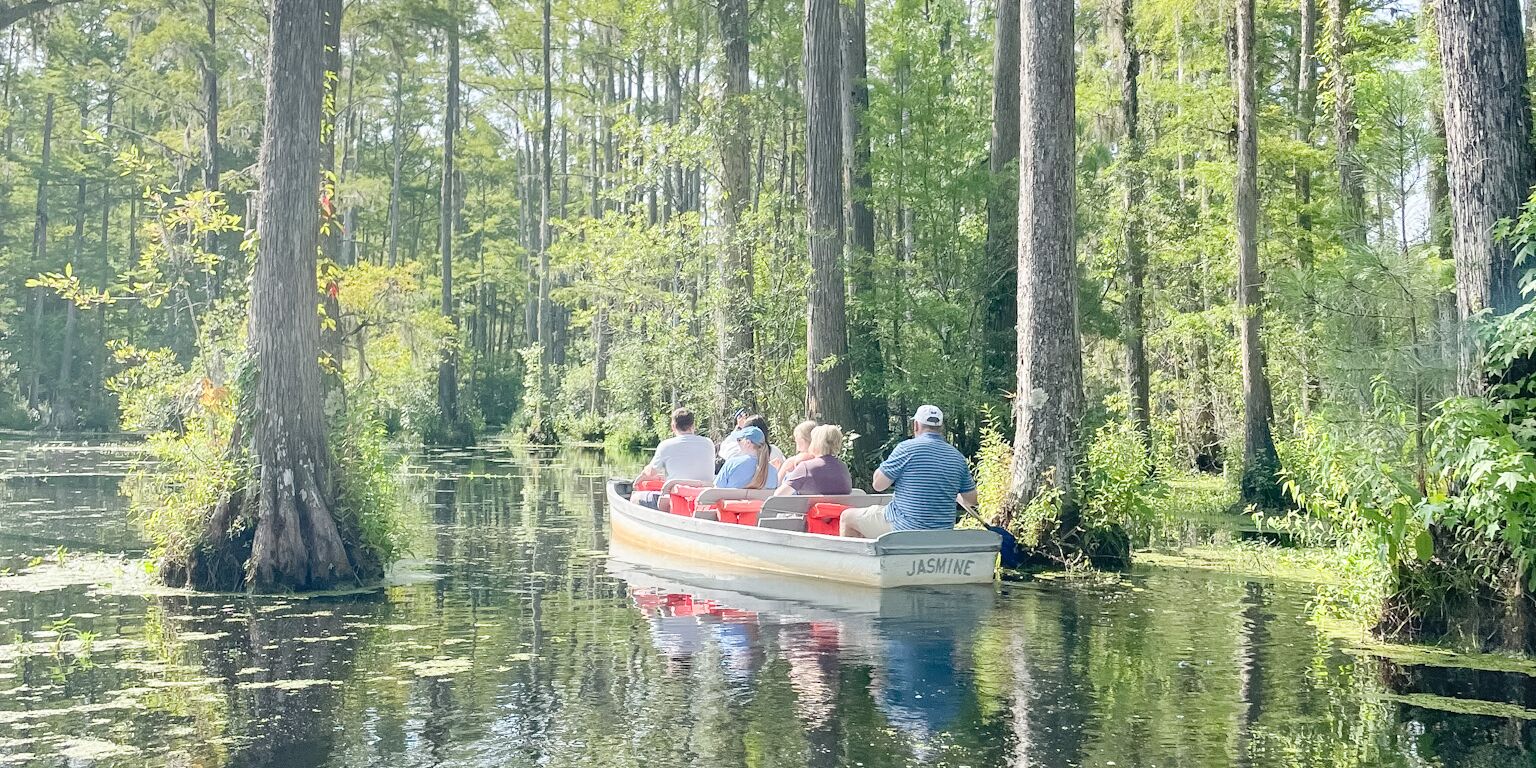Picture of Cypress Gardens 