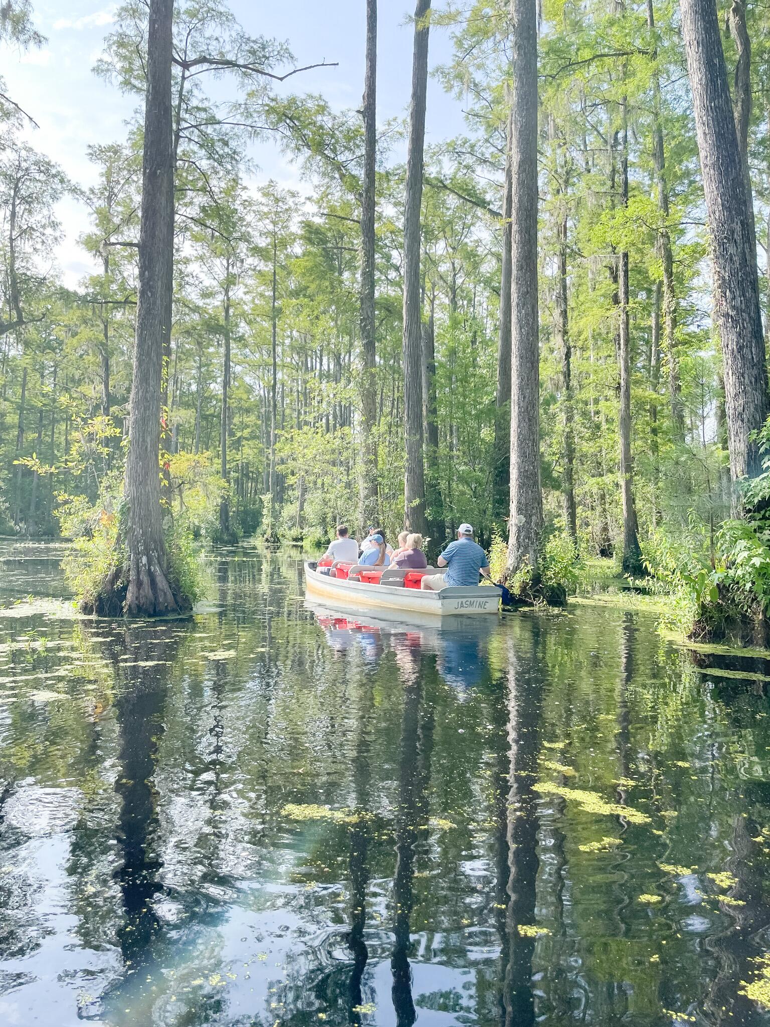 Picture of Cypress Gardens 