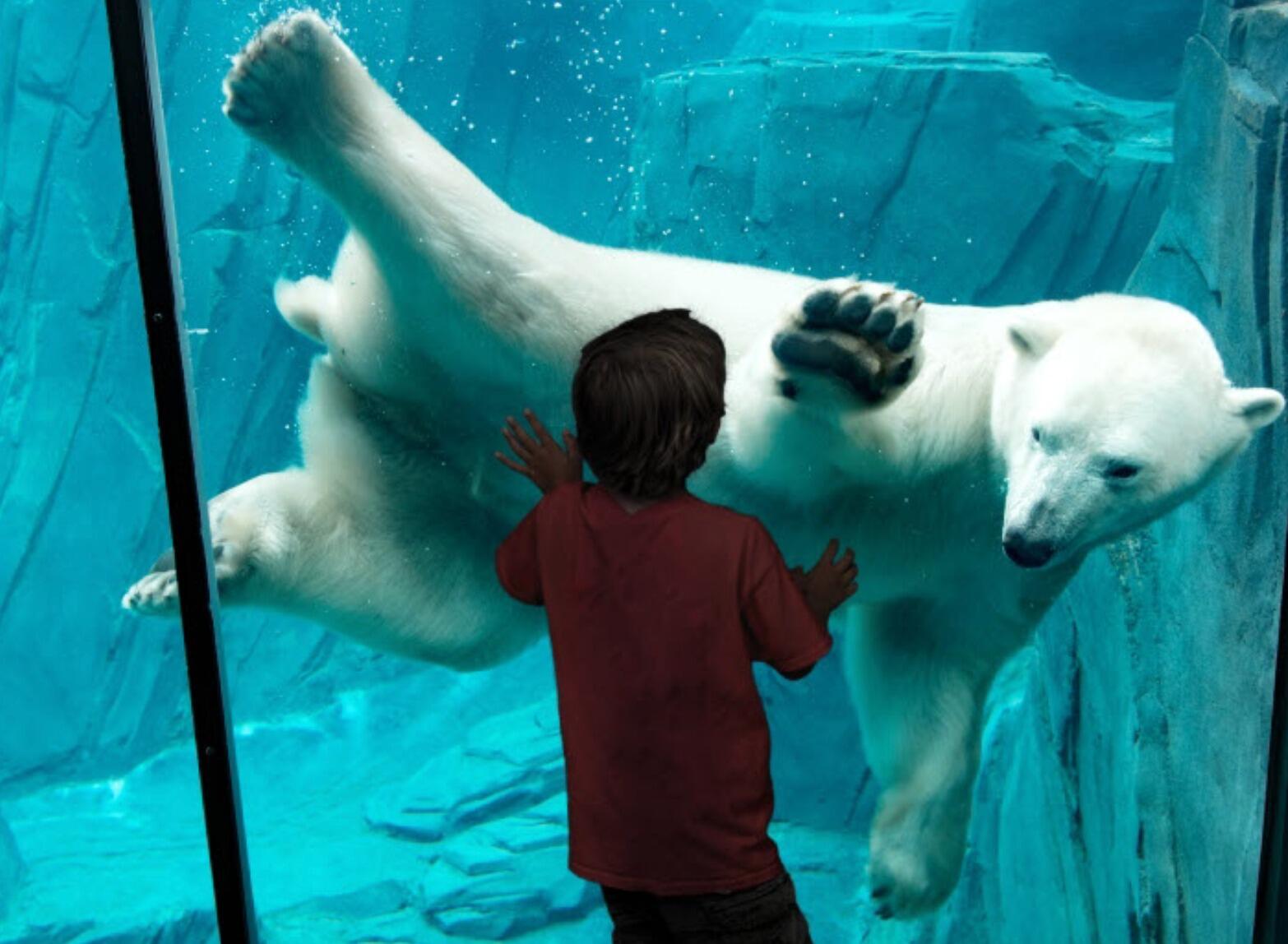 Picture of Saint Louis Zoo