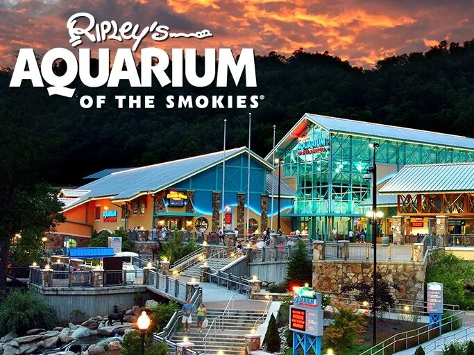 Picture of Ripley's Aquarium of the Smokies