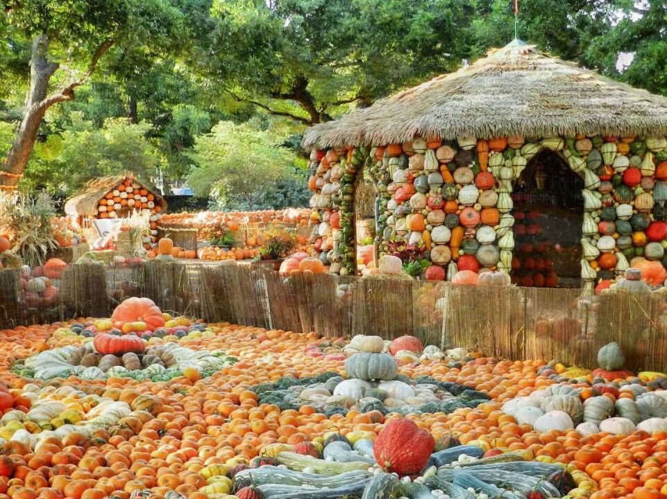Picture of The Dallas Arboretum and Botanical Garden