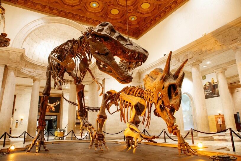 Picture of Natural History Museum