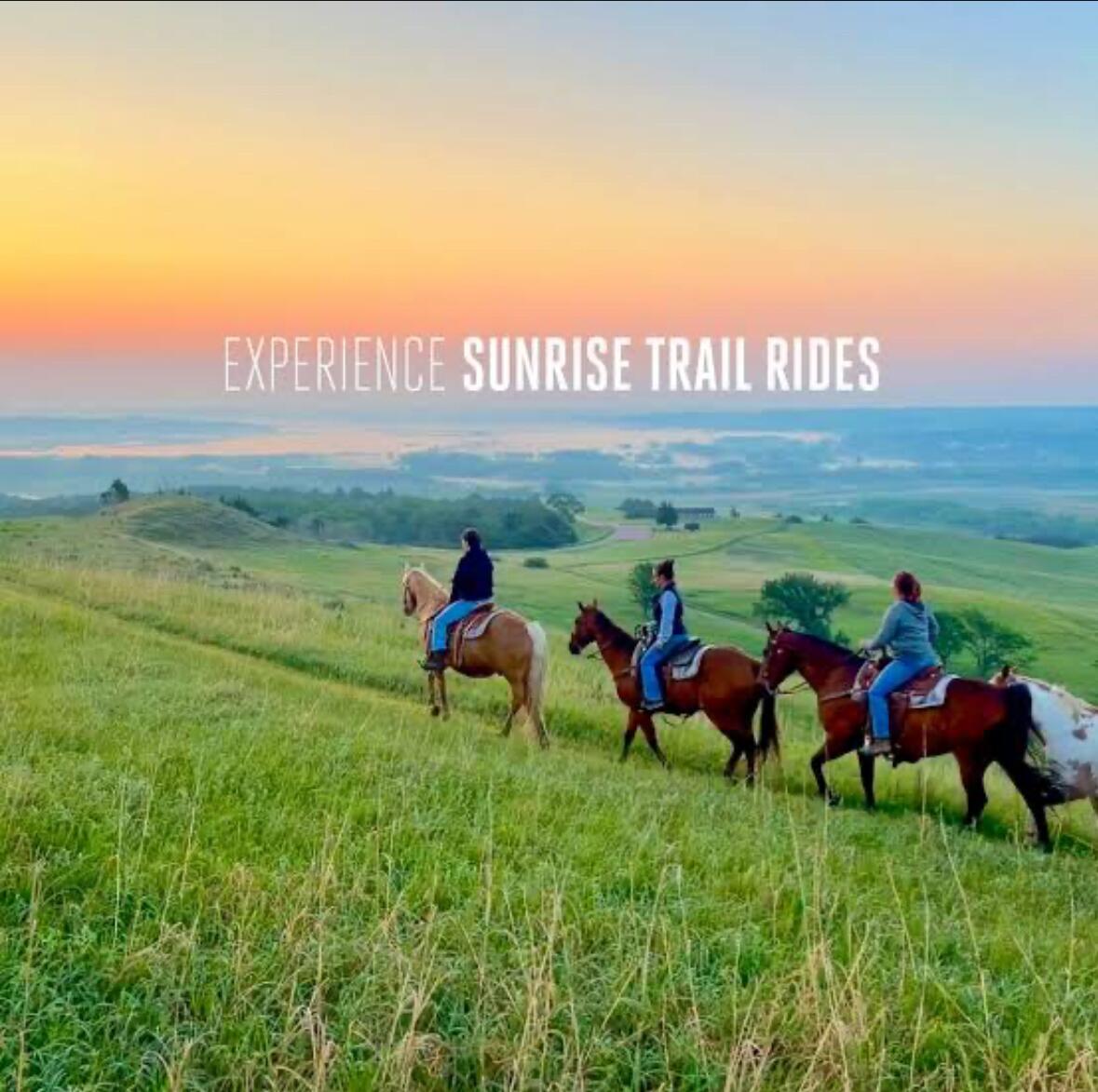 Picture of Horseback Riding