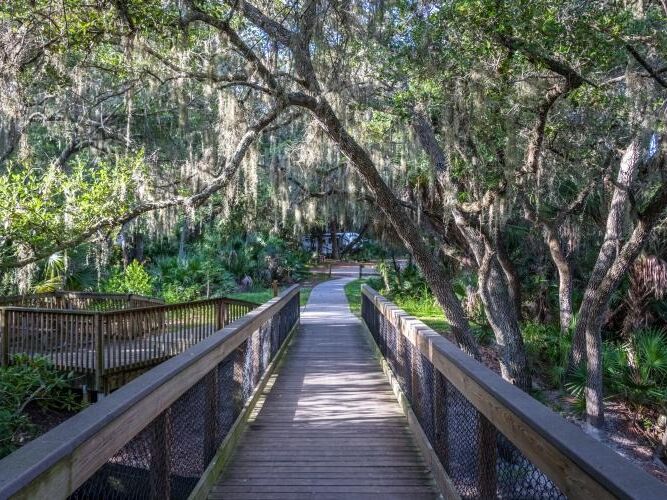 Picture of Oscar Scherer State Park