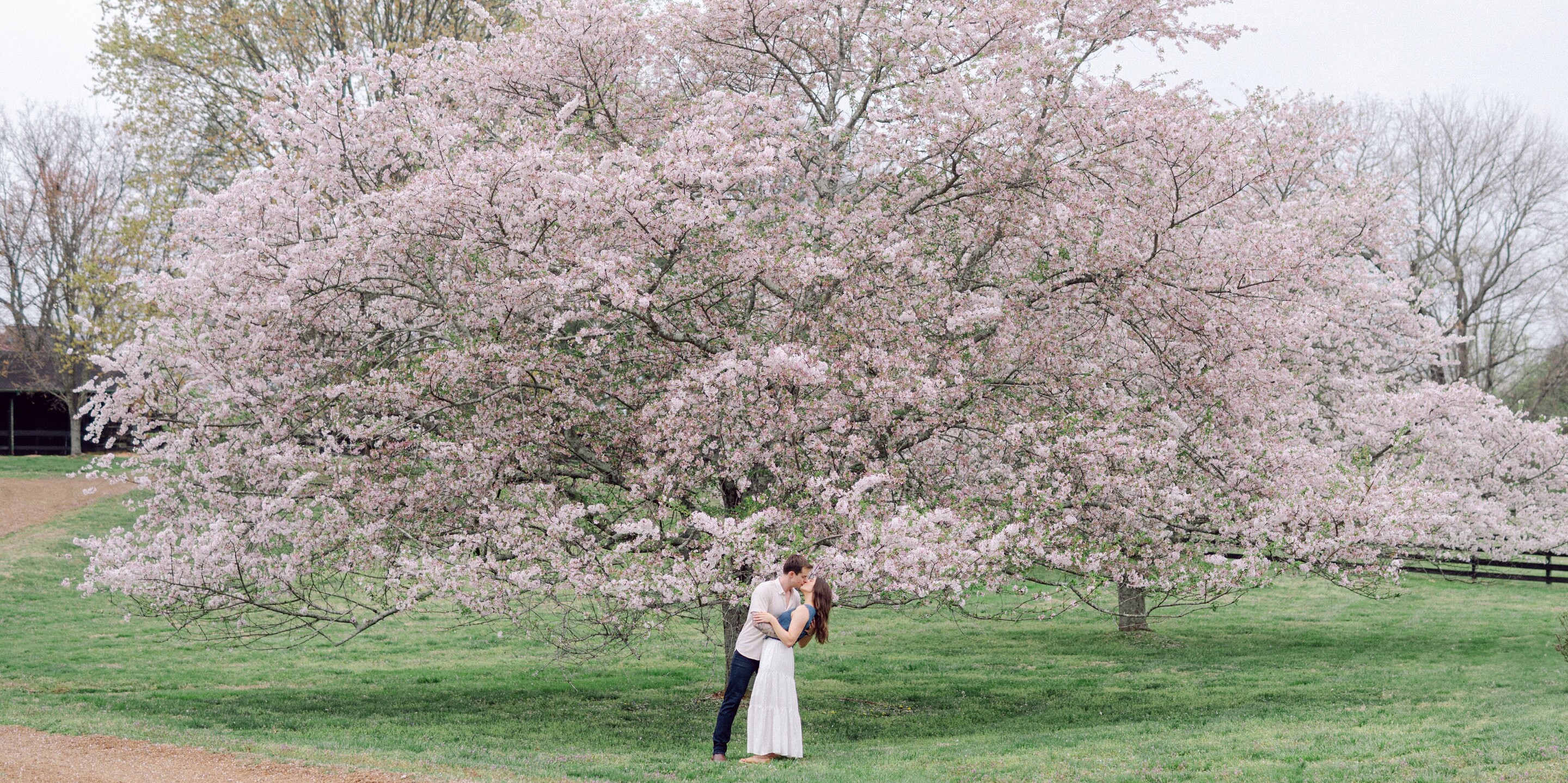 Holley & Alex Home Page Banner