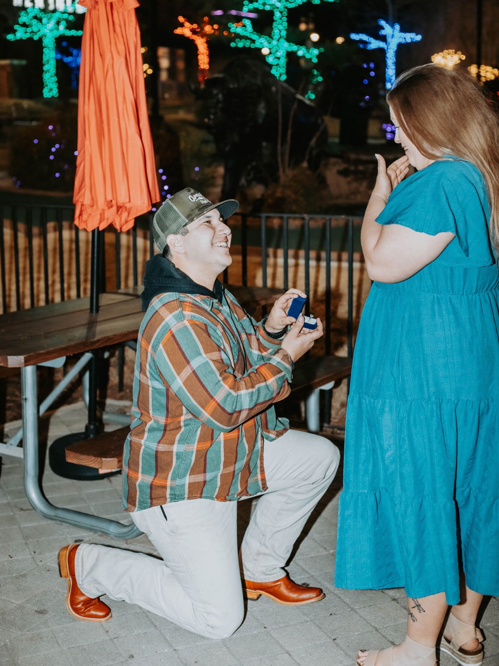 Picture of Our Proposal 