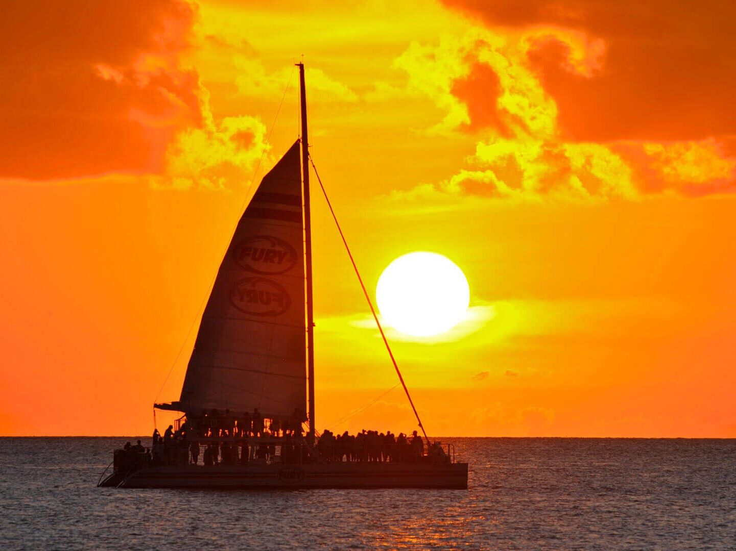 Picture of Sunset Catamaran Cruise