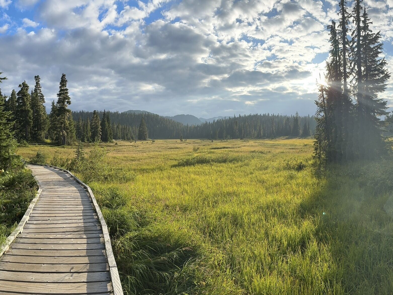 Picture of Paradise Meadows- Strathcona Provincial Park