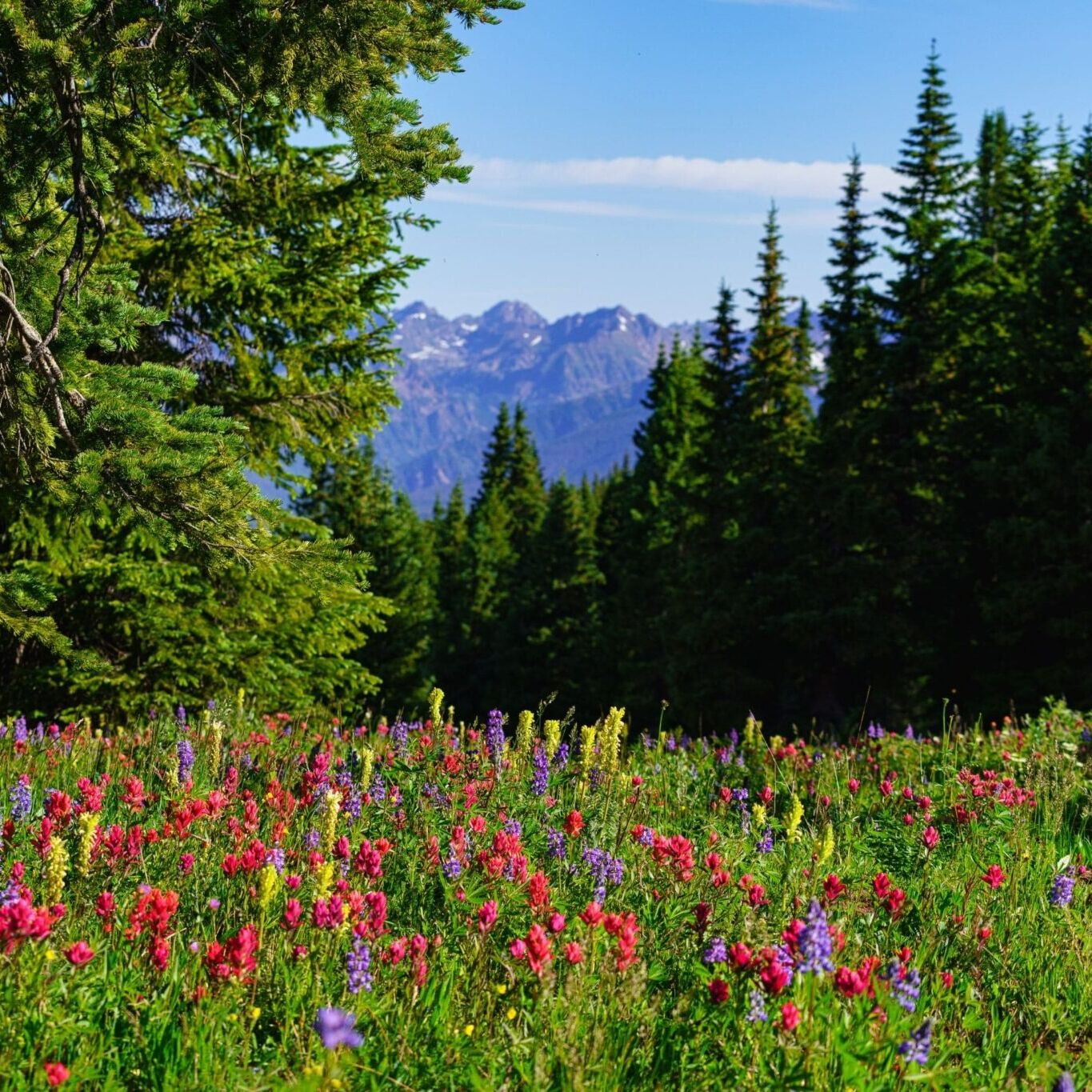 Picture of About Vail