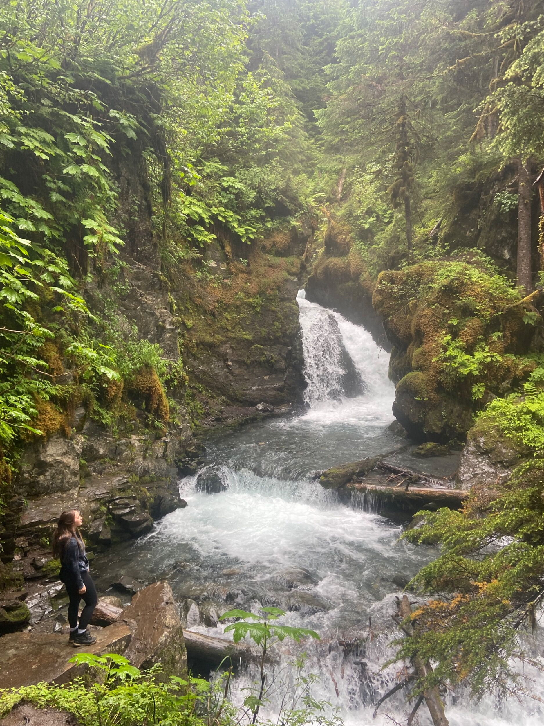 Picture of Girdwood