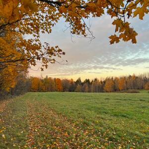 Gallery Photo 31