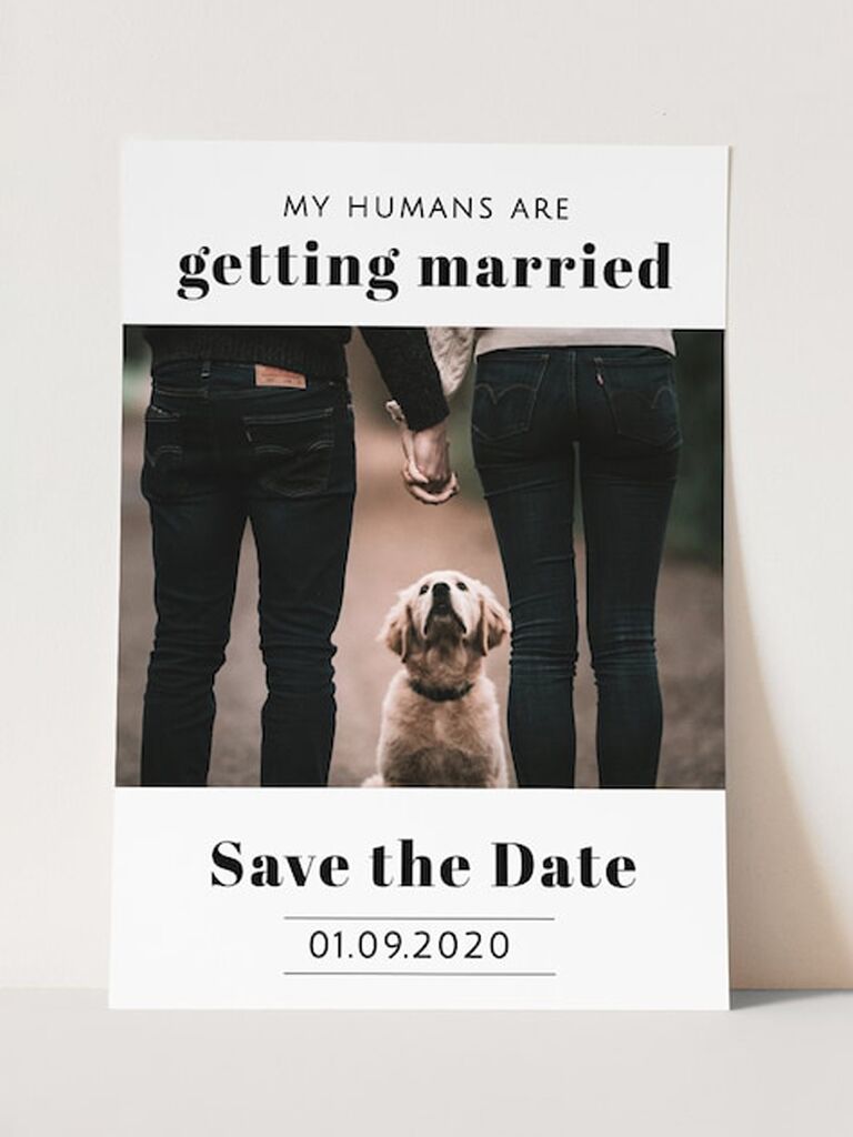 Funny Save-The-Date Cards For Couples With A Sense Of Humor