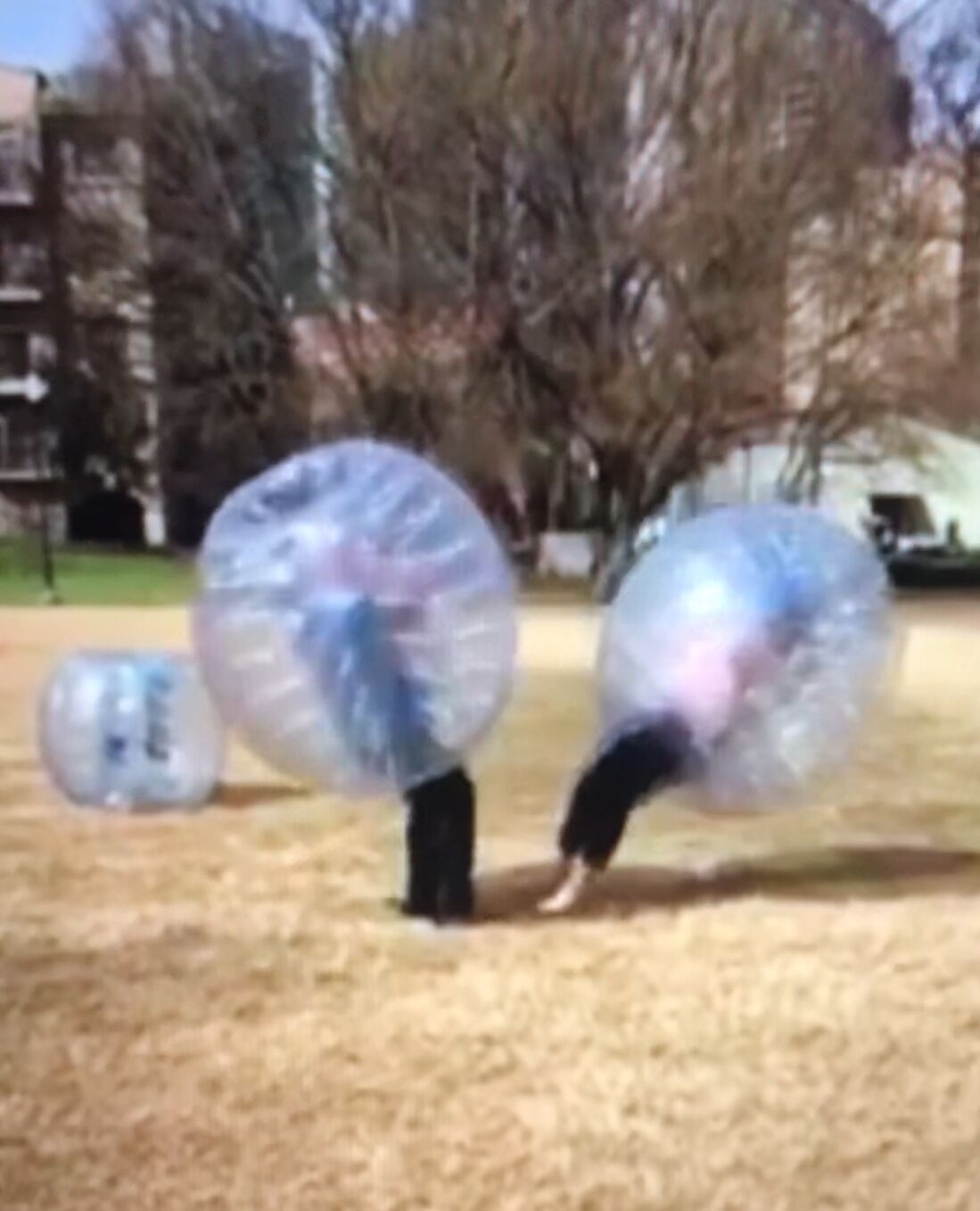 Picture of Fun in the Park