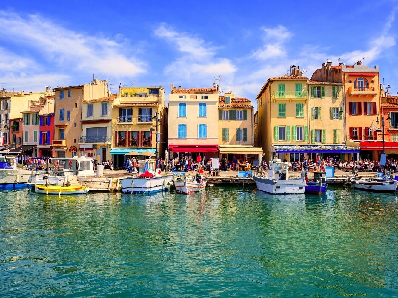 Picture of Cassis