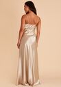 Birdy Grey Lisa Long in Satin Neutral Champagne Bridesmaid Dress - thumbnail - 6