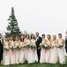 Pale Pink Bridesmaid Dresses with Navy Groomsmen Suits