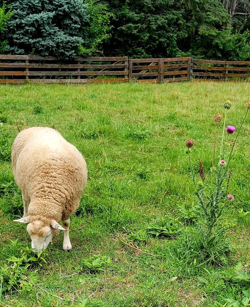 Picture of Living History Farms