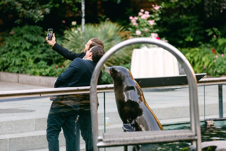 Guests in Suits Take Selfie Photo With a Sea Lion at the Central Park Zoo