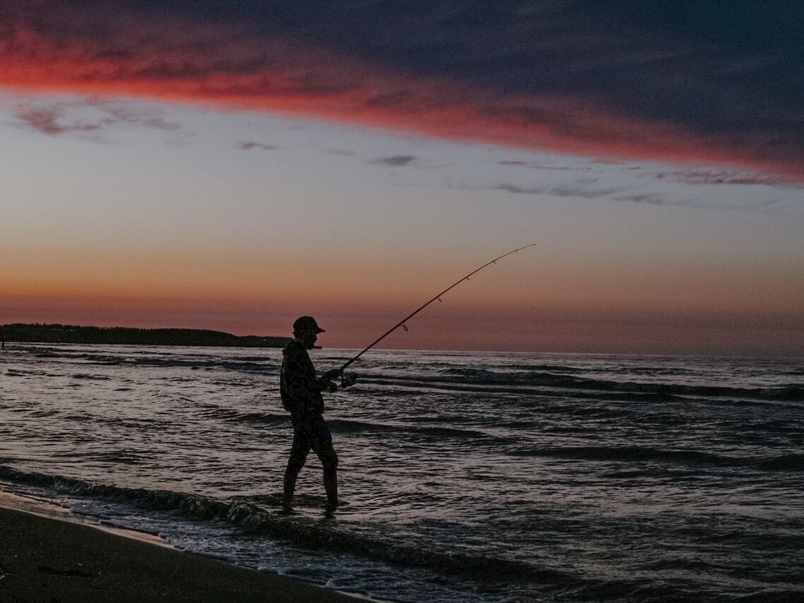 Picture of Striped Bass Fishing
