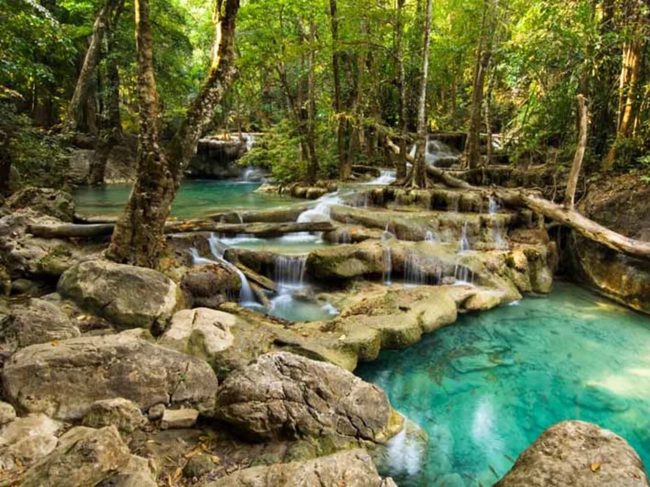 Picture of RainForest Adventures Zoo