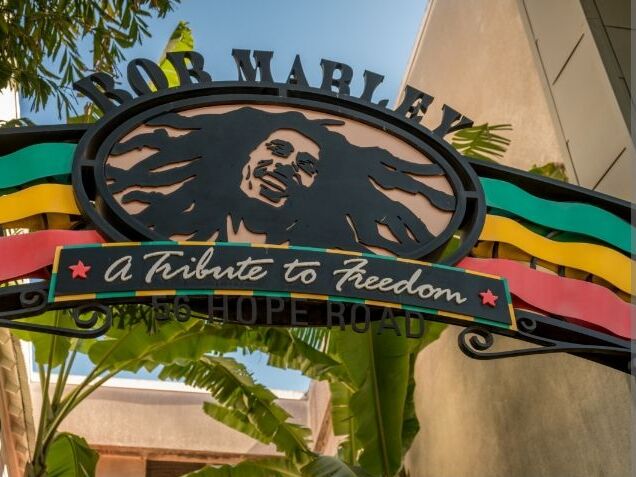 Picture of Bob Marley's