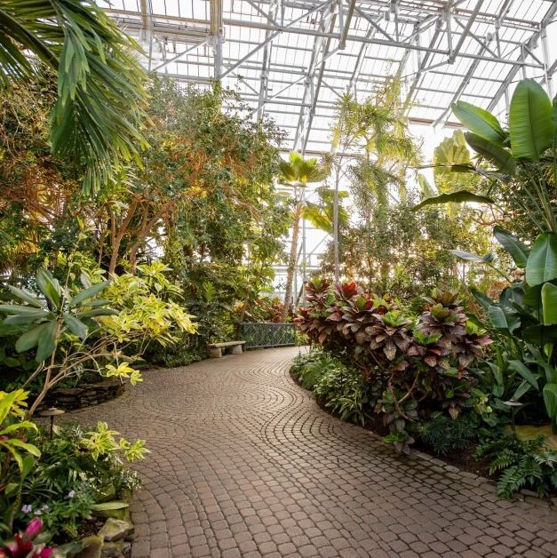 Picture of Frederik Meijer Gardens & Sculpture Park